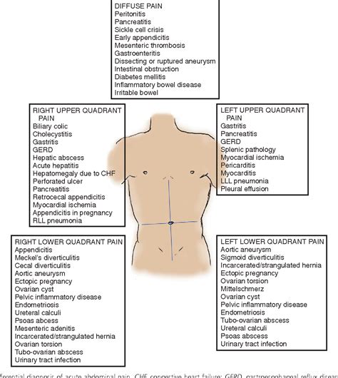 Differential Diagnosis Of Lower Abdominal Pain In Males at David Reiser ...