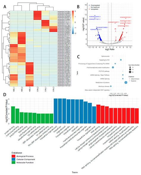 Integrative Proteome and Transcriptome Analyses Reveal the Metabolic ...