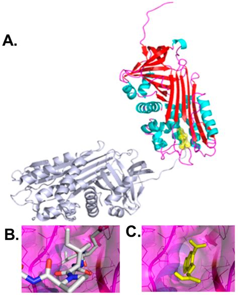 A Novel Small Molecule Inhibits Intrahepatocellular Accumulation of Z ...
