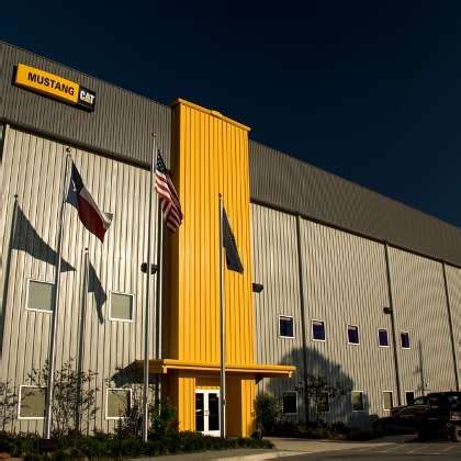 Mustang Cat Office Photos