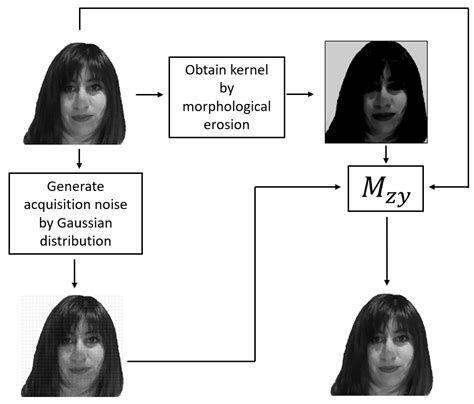 Generic Model of Max Heteroassociative Memory Robust to Acquisition Noise