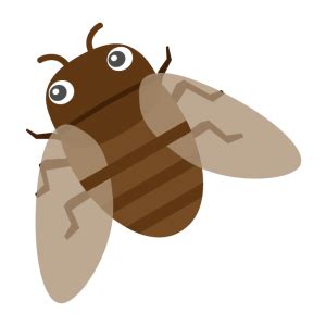Image result for Give Two Example of Low Level Programming Language