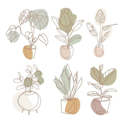 Download Minimalist Aesthetic Plant Drawing Wallpaper | Wallpapers.com