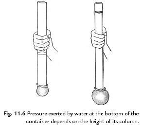 Class 8 Science Chapter 8 Question Answers - Force and Pressure