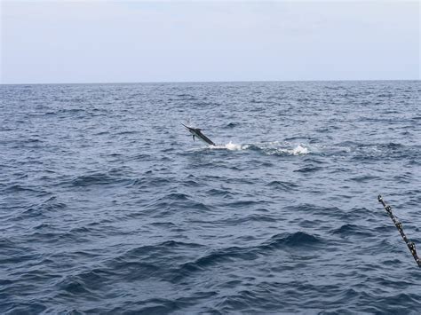 BOCA CHICA BIG GAME FISHING (2026) All You Need to Know BEFORE You Go ...