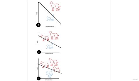 Image result for Which Best Python