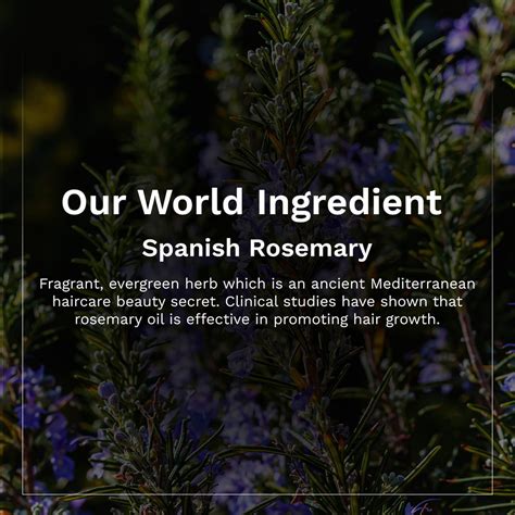 Buy PILGRIM Spanish Rosemary & Biotin Hair Growth Oil - 100ml from ...