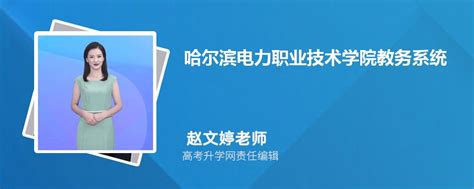 国网河南省电力公司 - ha.sgcc.com.cn网站数据分析报告 - 网站排行榜