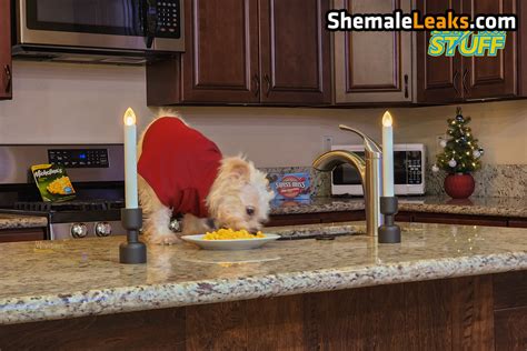 Lety Does Stuff / LetyDoesStuff Leaked Nude OnlyFans (Photo 159) - ShemaleLeaks!