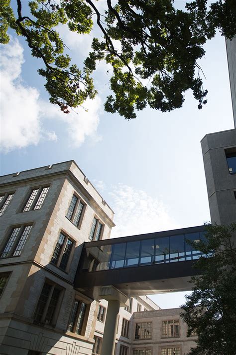 Unlock Your Future:  Scholarships at UARK