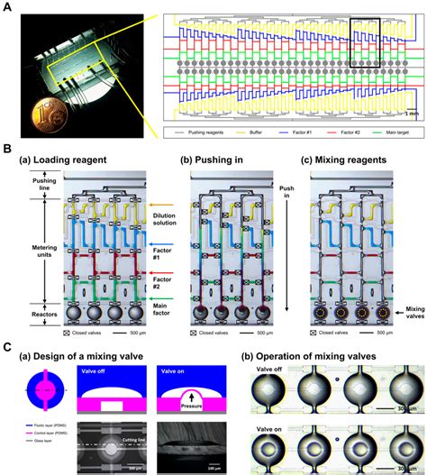 Systematic Investigation of Insulin Fibrillation on a Chip