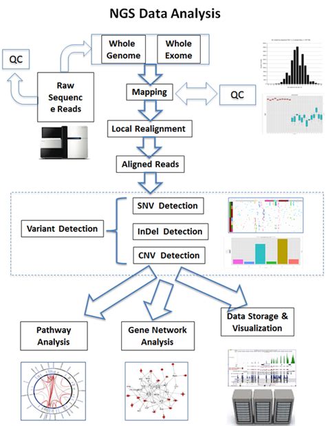 Genomic Complexity: Data Analytics Techniques for Next-Generation ...