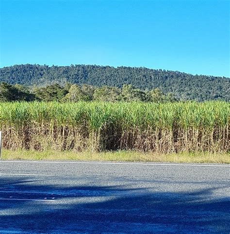 GUNNA GO CARAVAN PARK (Proserpine) - Campground Reviews & Photos ...