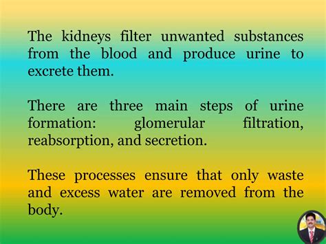 Urine formation | PPTX - mechanism of urine formation ppt