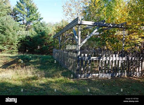 Browsing Animals 的图像结果