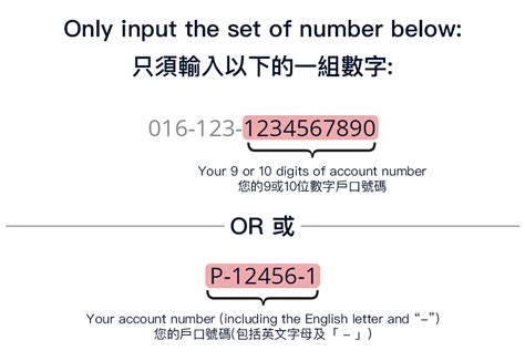 Image result for Account Number Example