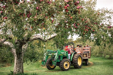 Apple Orchard For Sale Maine at Antonio Baker blog