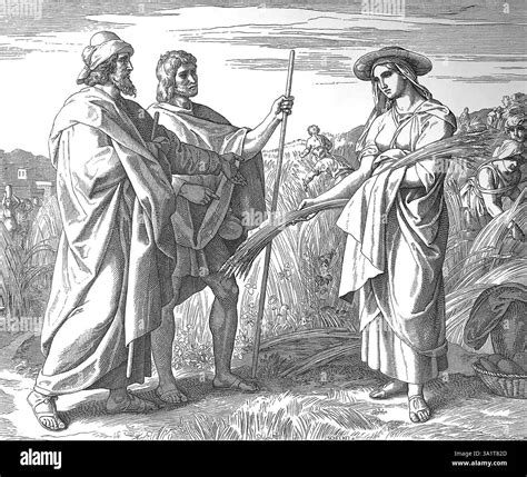 Bible. Ruth gathers grain in the field of Boaz. The Book of Ruth ...