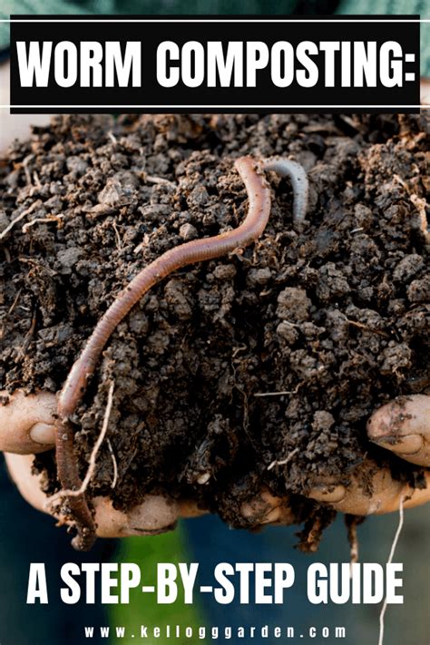 Image result for Worm Composting Tips