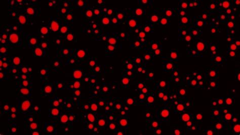 The Universality of ‘Phase Separation’ in Proteins | IITBombay
