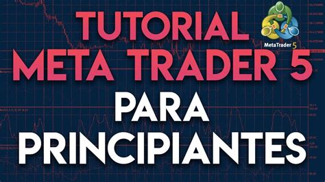 Image result for Tutorial Video of MetaTrader