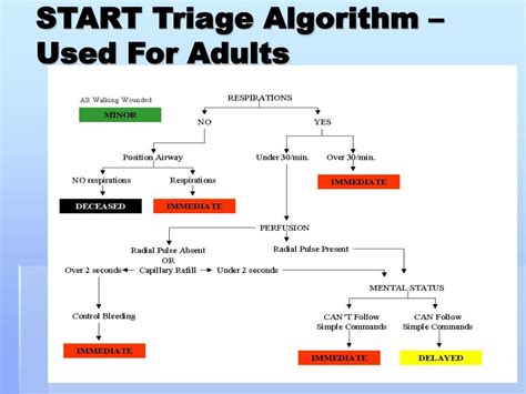 Start Triage Algorithm 的图像结果