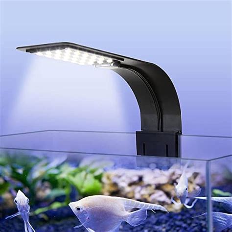 Light – cloningaquapets
