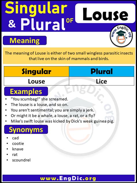 Louse Plural, What is the Plural of Louse? - EngDic