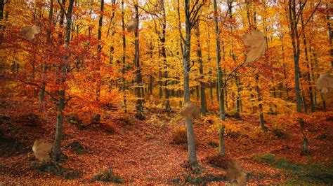 Image result for Sqlite3 Python Query