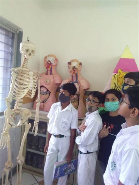 Constructivism Learning Theory 的图像结果