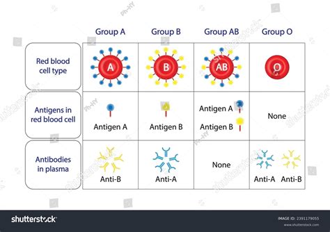 Abo Blood Group Concept Design Blood Stock Vector (Royalty Free) 2391179055 | Shutterstock