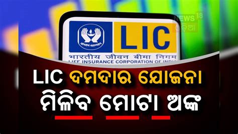 LIC ଧାରକଙ୍କ ପାଇଁ ଖୁସି ଖବର: ଖାତାକୁ ଆସିବ ୧୧ ଲକ୍ଷ! ରଖିବାକୁ ପଡ଼ିବ ମାତ୍ର ୪୫ ...