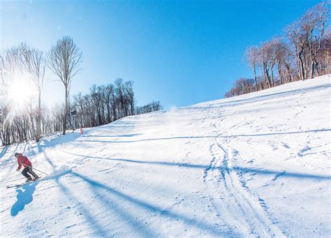 Lodging | Banner Elk NC