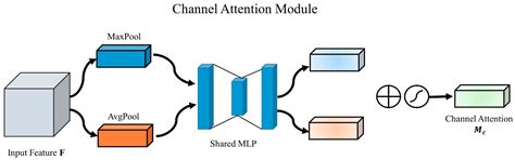 A New CBAM-P-Net Model for Few-Shot Forest Species Classification Using ...