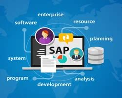 Image result for SAP Software What Is It