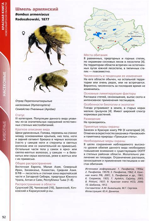 Красная книга НСО - 2008 | Шмель армянский