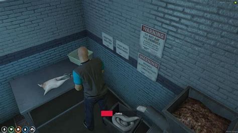 Image result for Fivem Chicken Script