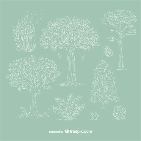 Baum gezeichnet Bilder - Kostenloser Download auf Freepik