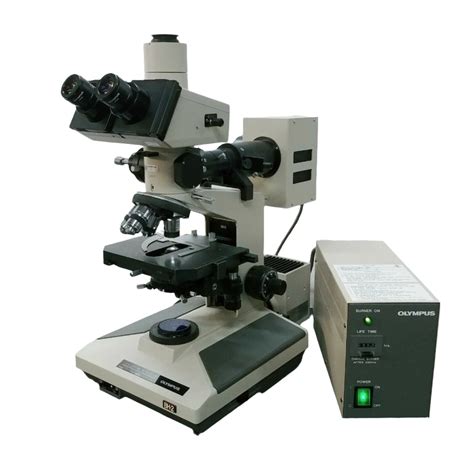 Fluorescence Microscope 的图像结果