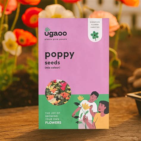 Poppy Mix Seeds – Ugaoo