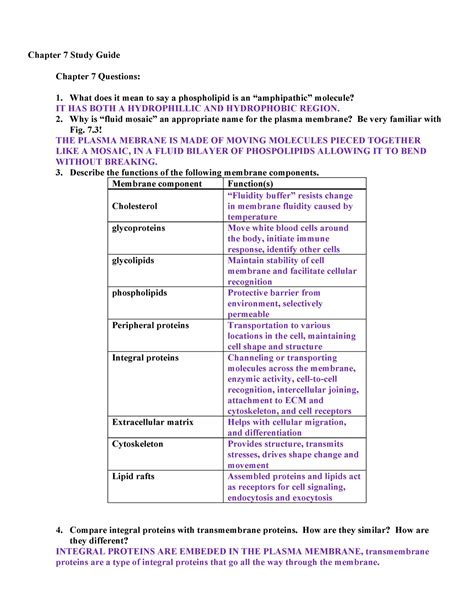 Image result for Chapter 7 Study Guide