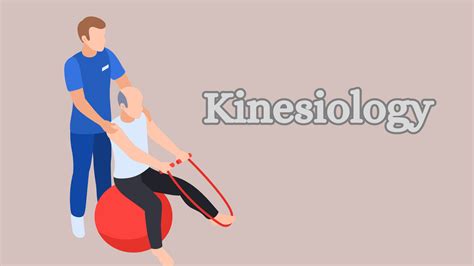 Kinesiology Programs In Tennessee at Troy Jenkins blog