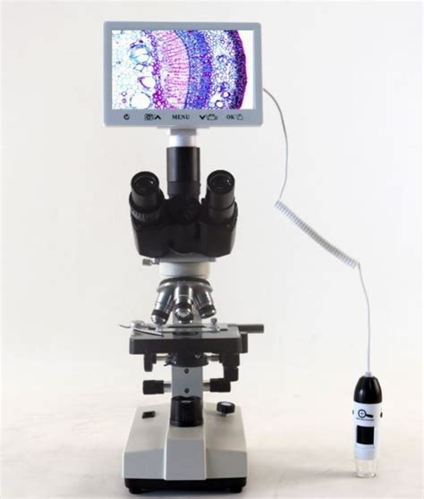 Microscope High Quality 的图像结果