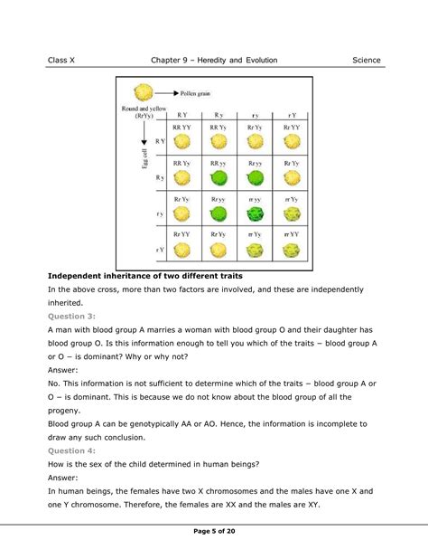 Class 10 Science Chap Evolution Explain 的图像结果