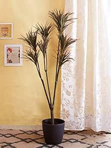 Buy Fourwalls 160cm Tall Decorative Artificial Yucca Plant Without Pot ...