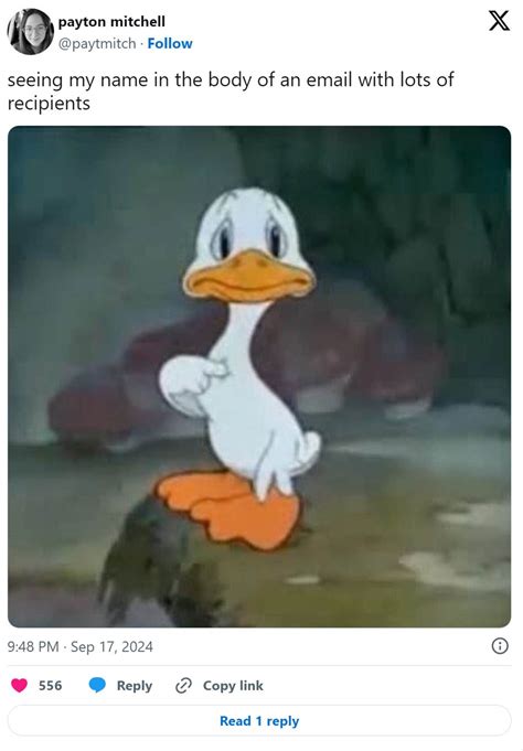 The ‘Sad Duck Pointing At Himself’ Meme, Explained