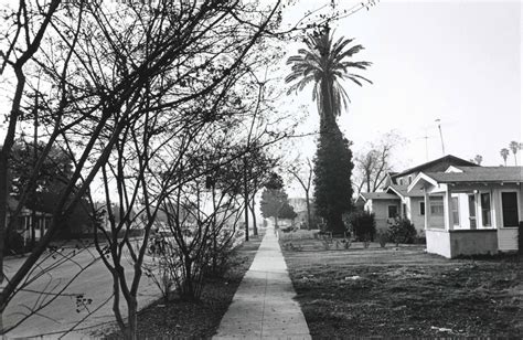 Hollywood, California, 1970 by Lee Friedlander | Art.Salon