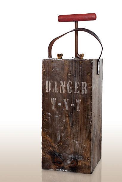 Using Detonator Box 的图像结果