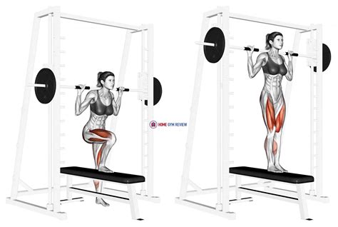 Smith Lateral Step-Up - Home Gym Review