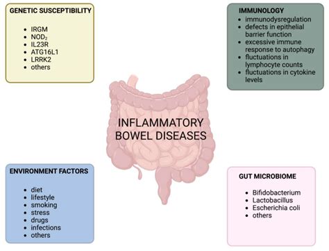 The Role of IL-23 in the Pathogenesis and Therapy of Inflammatory Bowel Disease